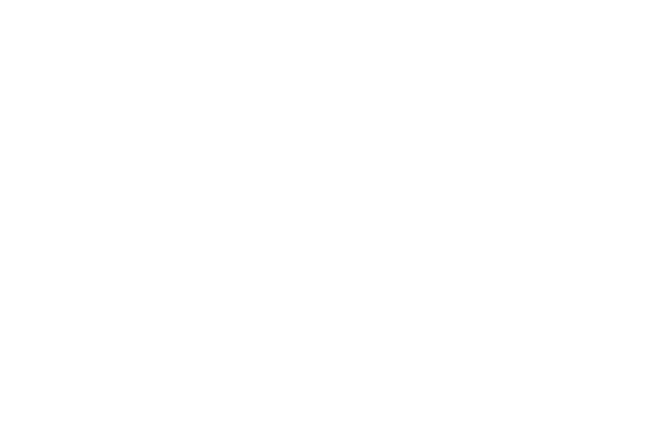 Saudi Vision 2030
